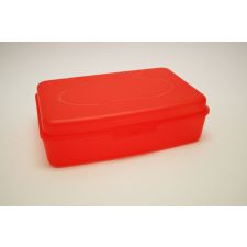 Snack Box groß 31 x 21 x 8,5 cm VE 8